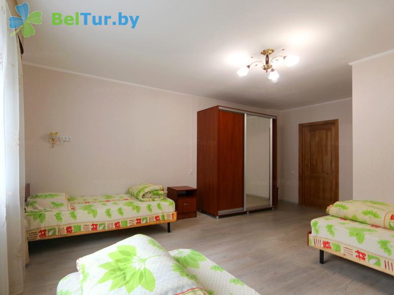 Rest in Belarus - hunter's house Krupski - 1-room triple (hunter's house) 