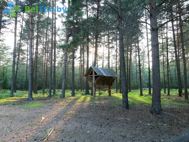 Rest in Belarus - hunter's house Krupski - Aviary