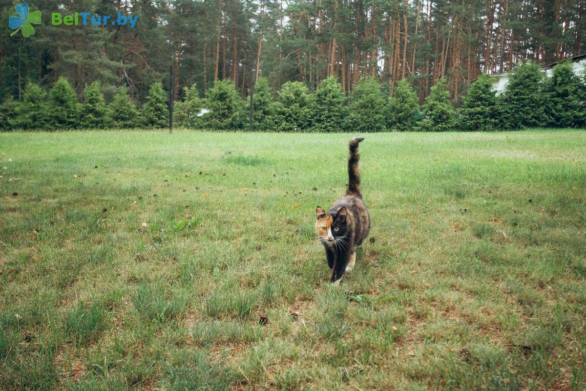 Rest in Belarus - hunter's house Krupski - Territory