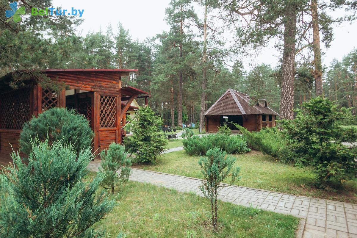 Rest in Belarus - hunter's house Krupski - Territory