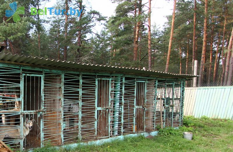 Rest in Belarus - hunter's house Krupski - Aviary