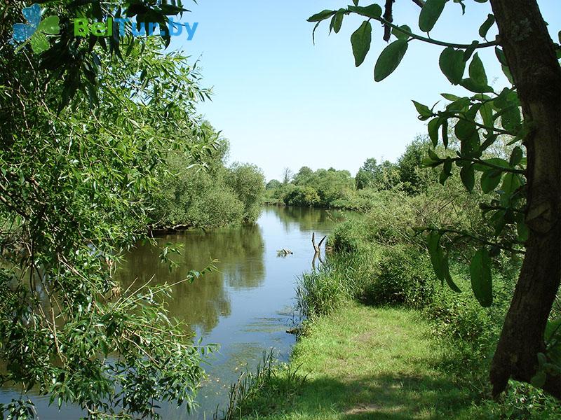 Rest in Belarus - hunter's house Puhovichsky - Territory