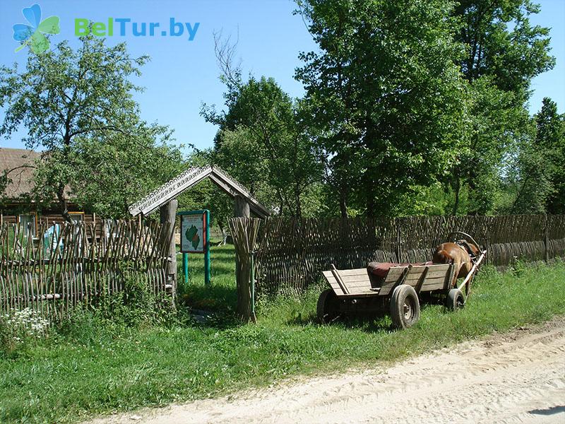 Rest in Belarus - hunter's house Puhovichsky - Territory