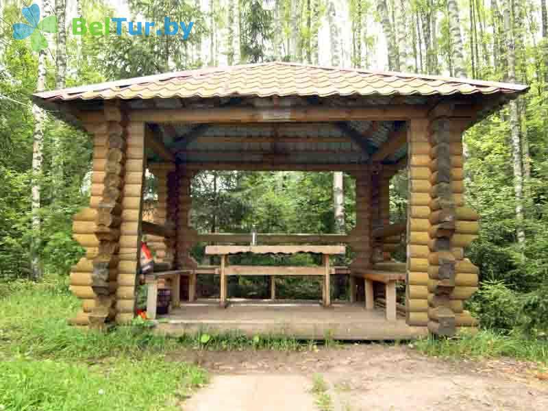 Rest in Belarus - recreation center Aktam - Barbeque