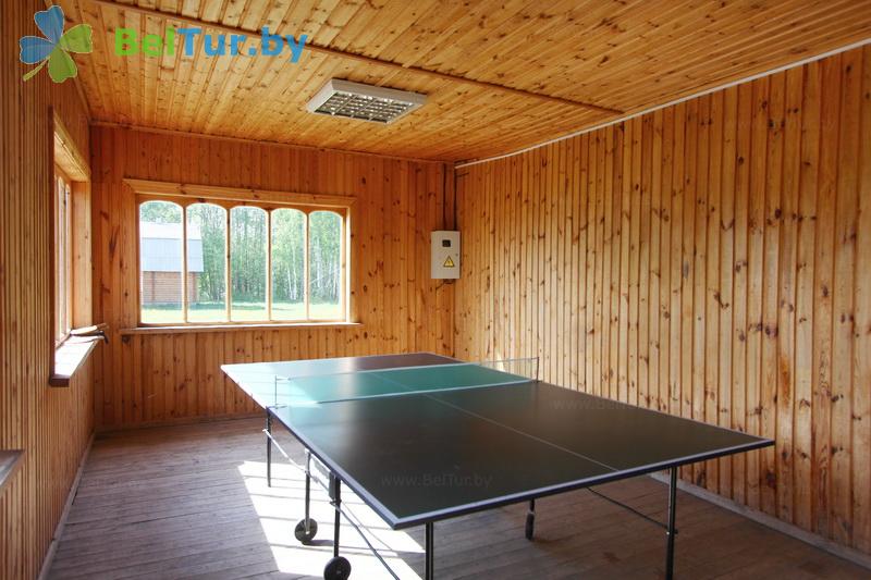 Rest in Belarus - hunter's house Ushachski - Table tennis (Ping-pong)