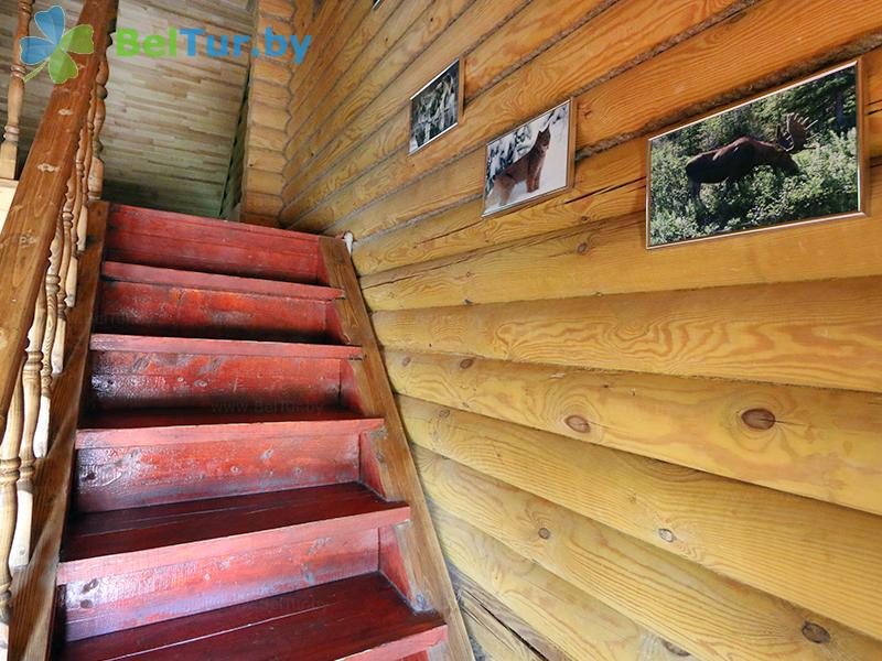 Rest in Belarus - hunter's house Verhnedvinsky - cottage for 9 people max (hunter's house) 