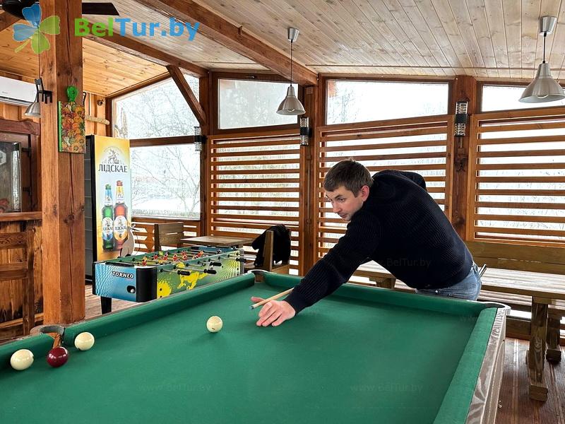 Rest in Belarus - farmstead Zdorovei - Billiards