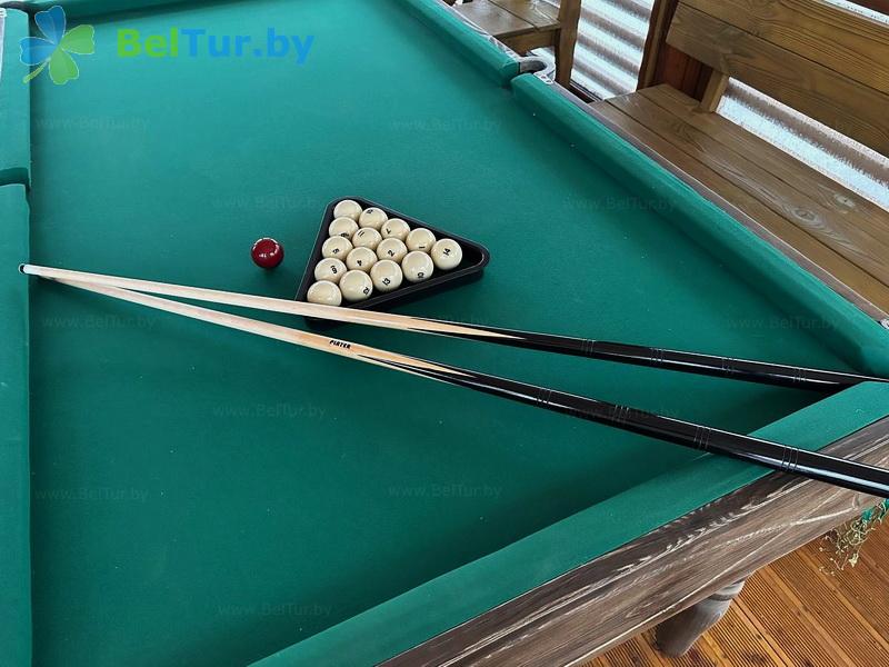 Rest in Belarus - farmstead Zdorovei - Billiards