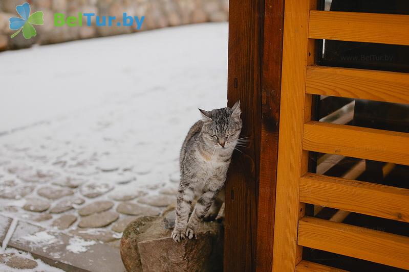 Rest in Belarus - farmstead Zdorovei - Aviary