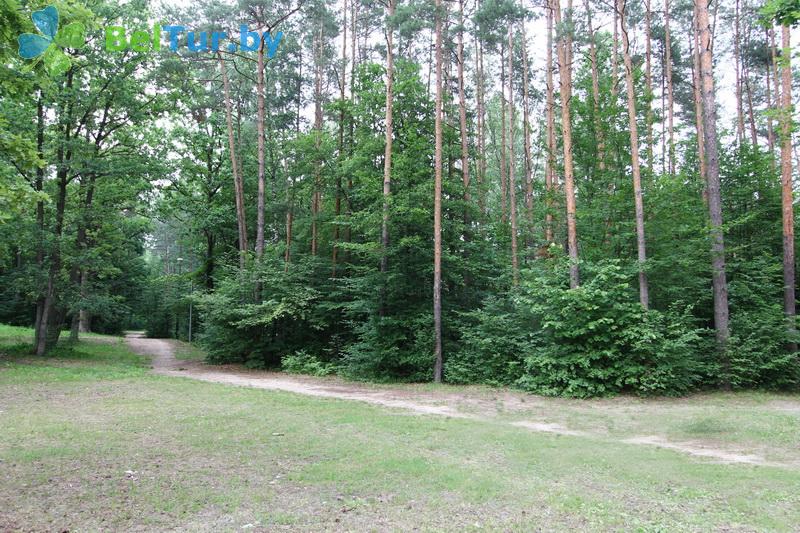 Отдых в Белоруссии Беларуси - база отдыха Белое озеро БЖД - Территория и природа