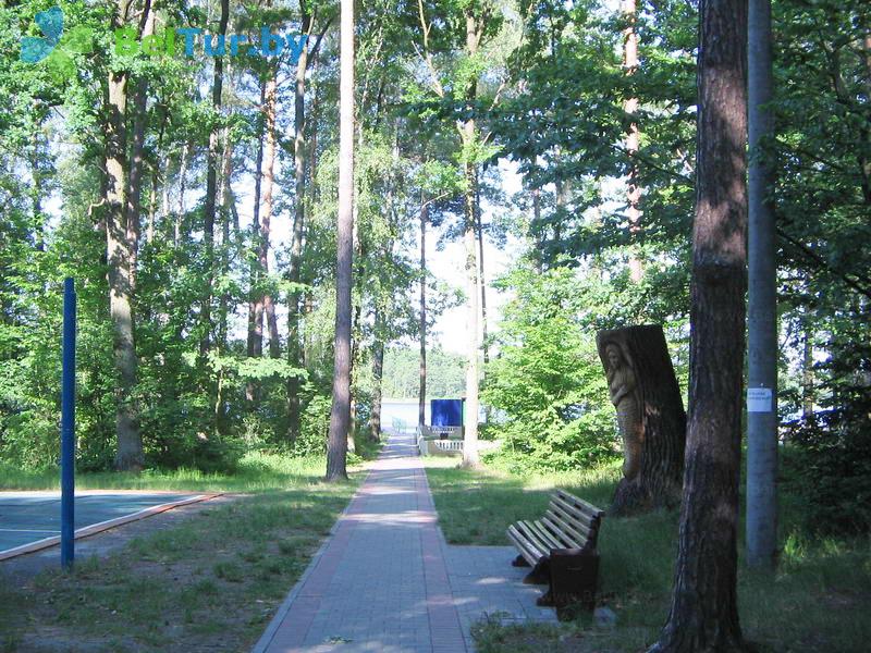 Отдых в Белоруссии Беларуси - база отдыха Белое озеро БЖД - Территория и природа