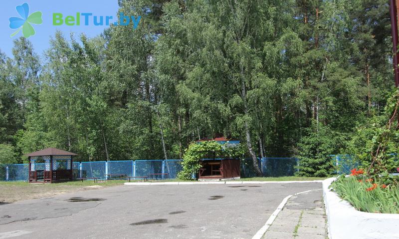 Rest in Belarus - recreation center Berezovaya Roshcha - Territory