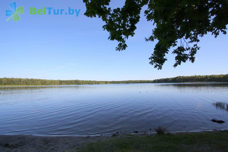 Rest in Belarus - recreation center Berezovaya Roshcha - Water reservoir