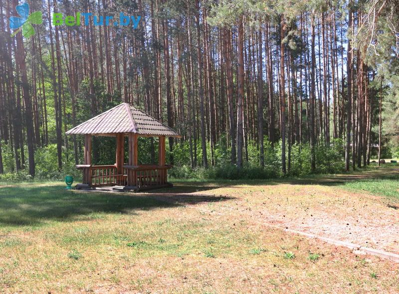 Rest in Belarus - camping Naroch kemping - Arbour