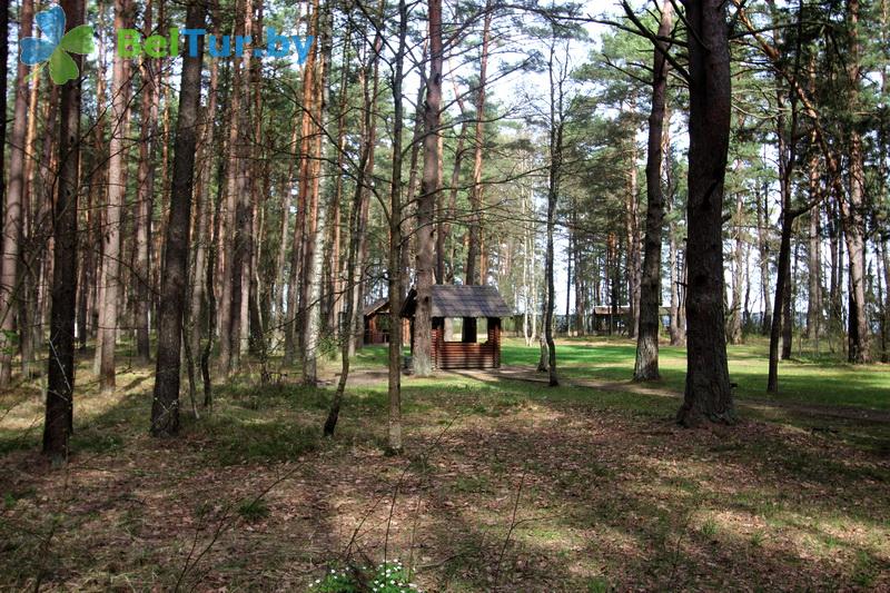 Rest in Belarus - camping Naroch kemping - Territory