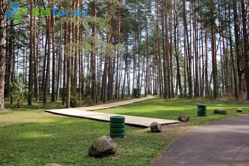 Rest in Belarus - camping Naroch kemping - Territory