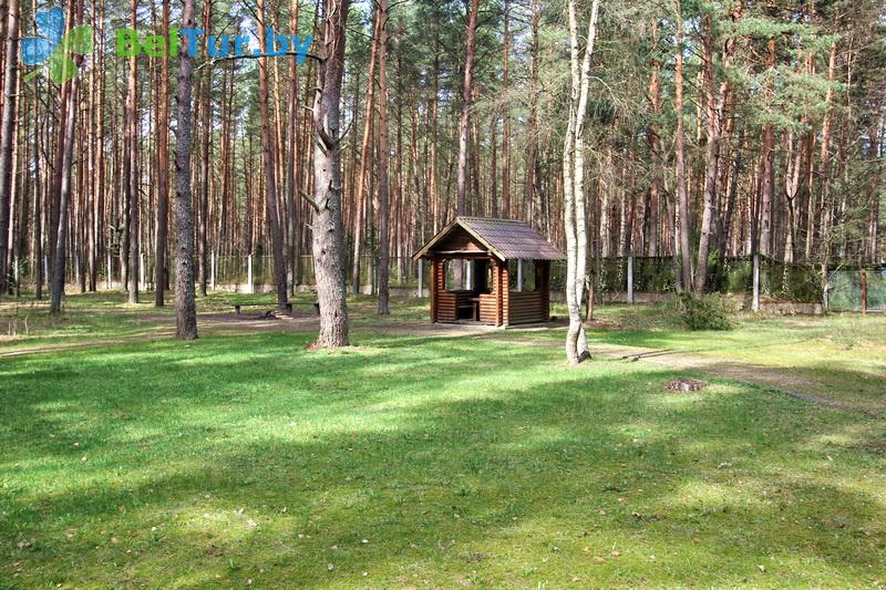 Rest in Belarus - camping Naroch kemping - Arbour