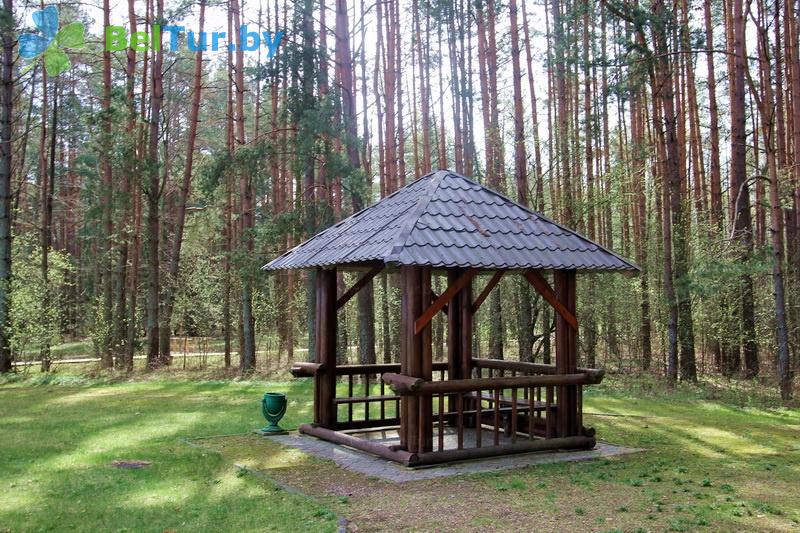 Rest in Belarus - camping Naroch kemping - Arbour