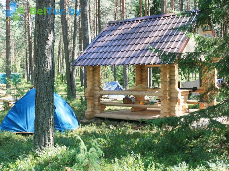 Rest in Belarus - camping Naroch kemping - Place to put up tents