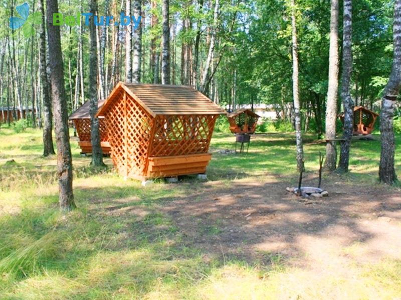 Rest in Belarus - camping Naroch kemping - Barbeque