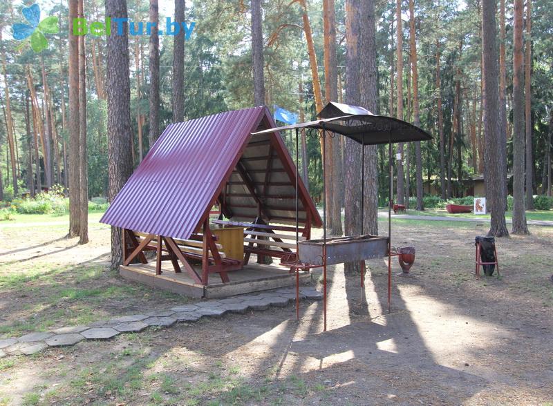 Rest in Belarus - recreation center Lesnoe ozero - Arbour