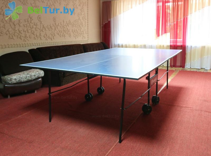 Rest in Belarus - recreation center Lesnoe ozero - Table tennis (Ping-pong)
