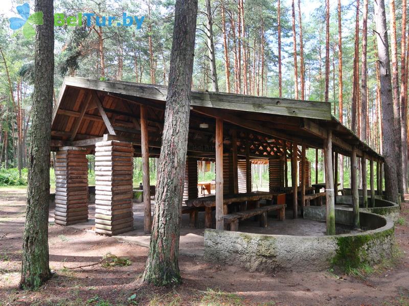 Rest in Belarus - recreation center Lesnoe ozero - Barbeque