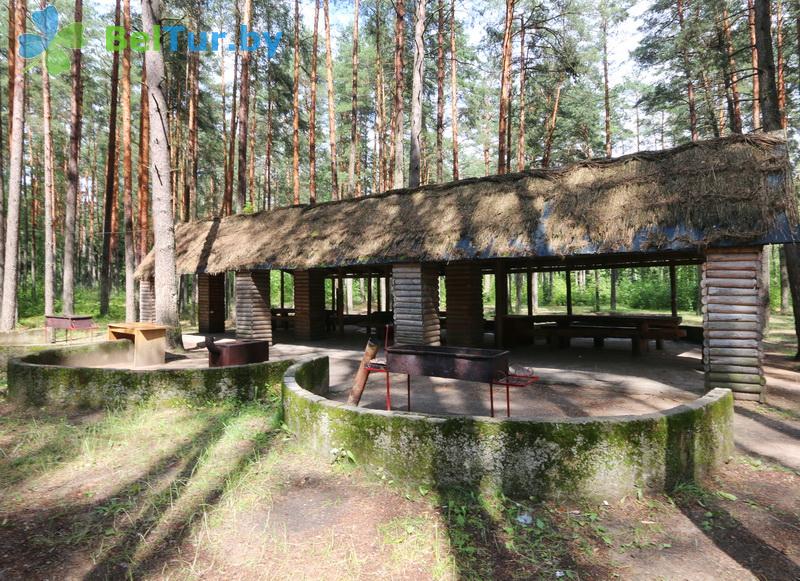 Rest in Belarus - recreation center Lesnoe ozero - Barbeque