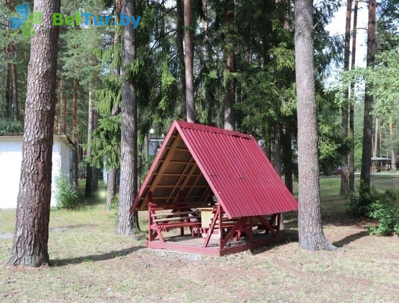 Rest in Belarus - recreation center Lesnoe ozero - Arbour