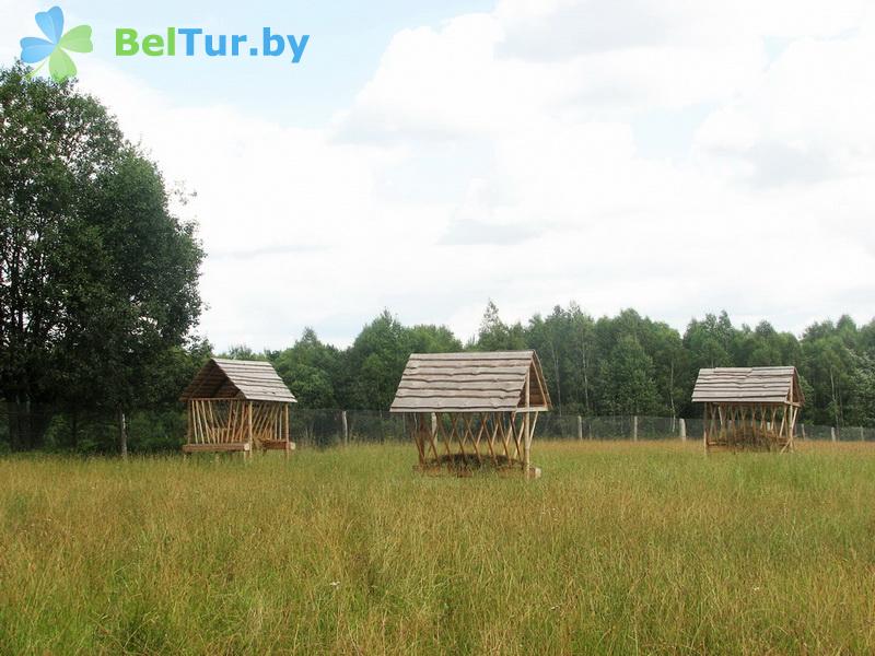 Rest in Belarus - hunter's house Panskaya usadba - Aviary
