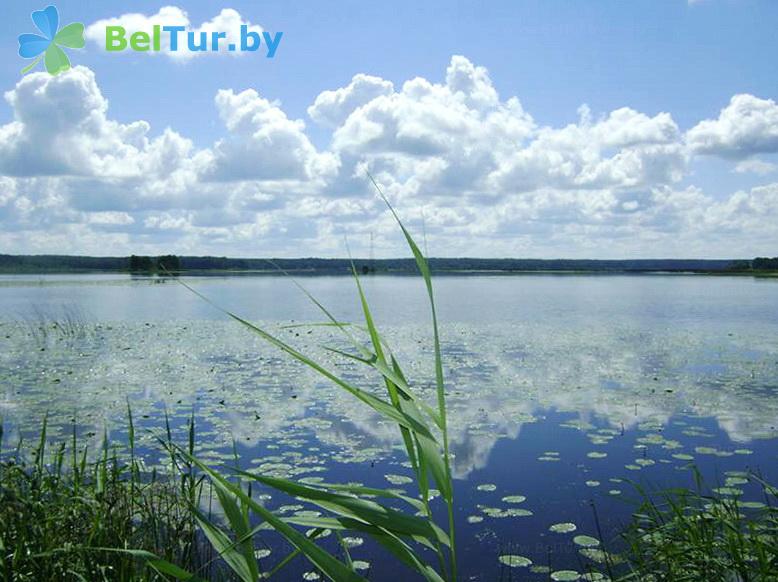 Отдых в Белоруссии Беларуси - база отдыха Проточное - Водоём