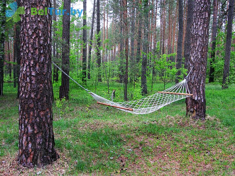 Отдых в Белоруссии Беларуси - база отдыха Проточное - Территория и природа