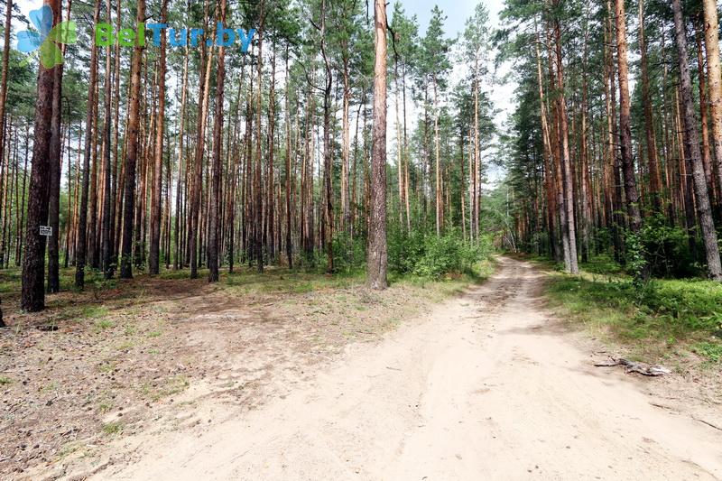 Rest in Belarus - recreation center Protochnoe - Territory