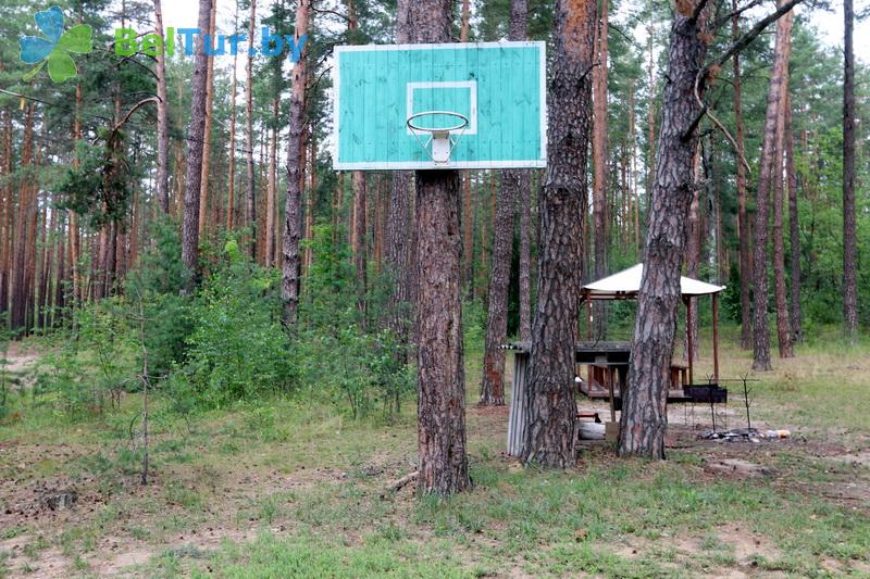 Rest in Belarus - recreation center Protochnoe - Sportsground