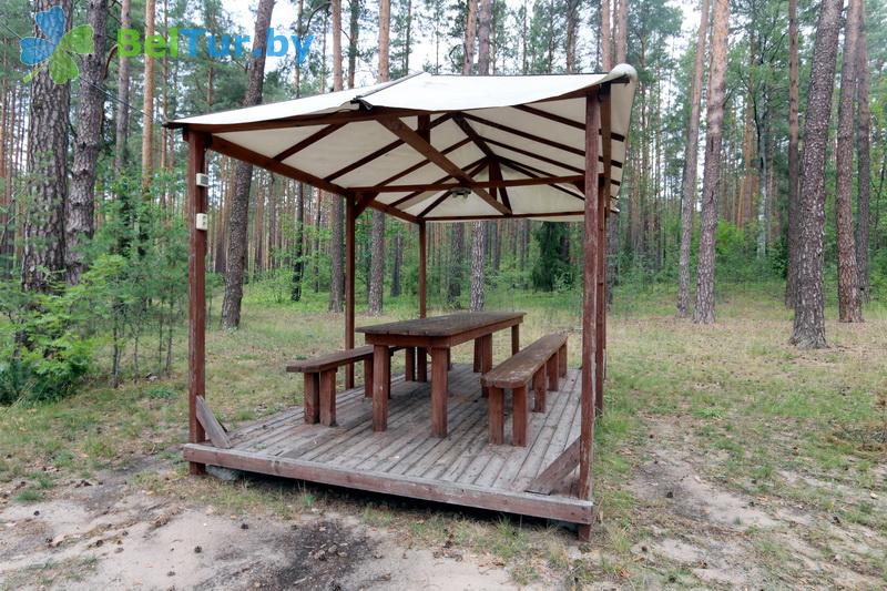 Rest in Belarus - recreation center Protochnoe - Arbour