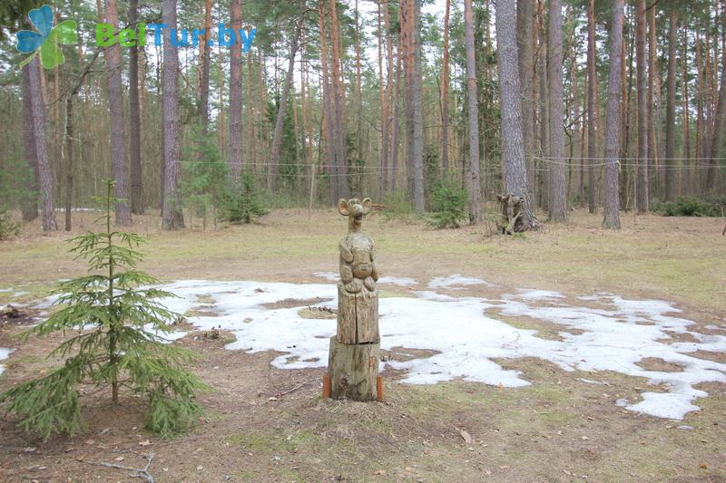 Rest in Belarus - recreation center Protochnoe - Territory