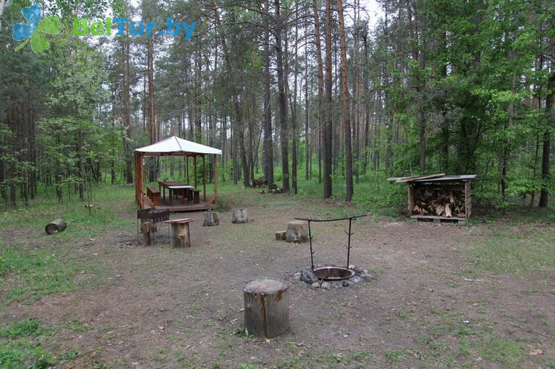 Rest in Belarus - recreation center Protochnoe - Barbeque