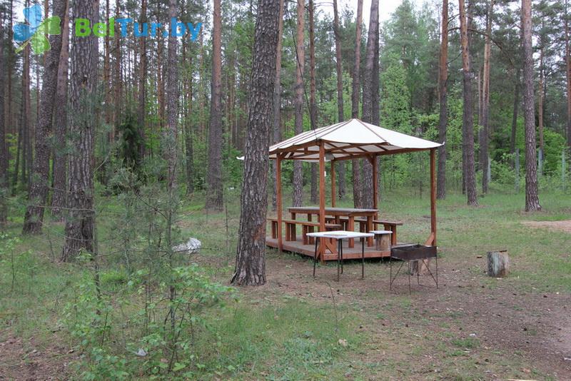 Rest in Belarus - recreation center Protochnoe - Arbour