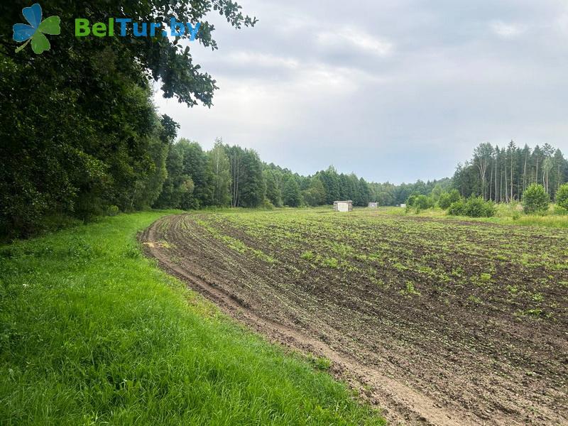 Rest in Belarus - hunter's house Beliy bor - Shooting gallery