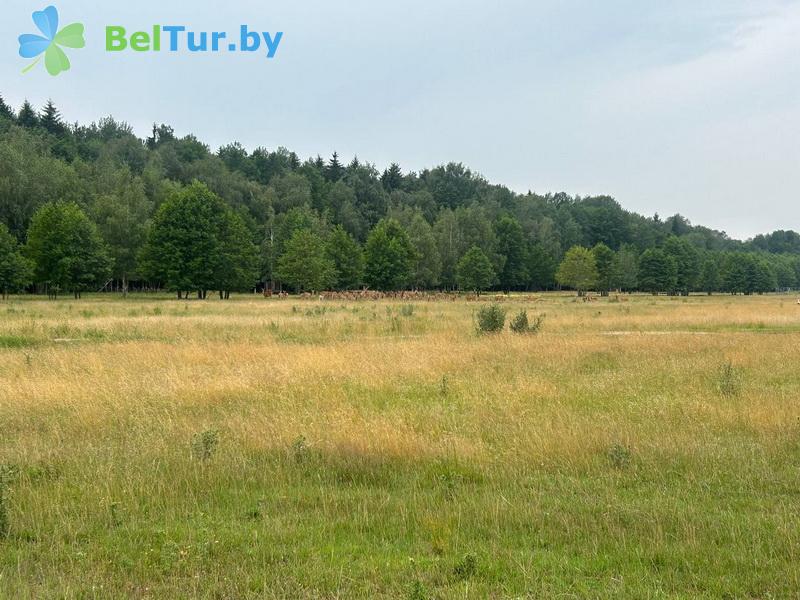 Rest in Belarus - hunter's house Beliy bor - Aviary