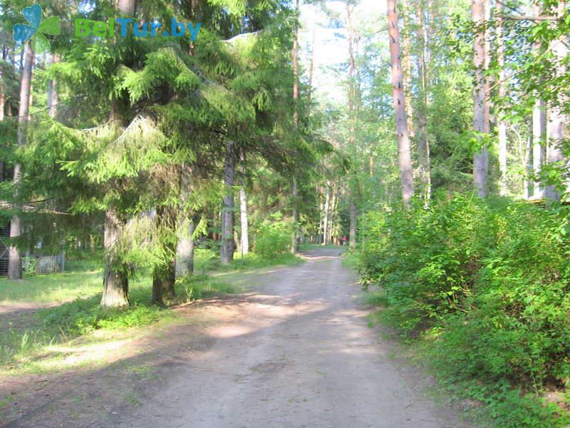 Rest in Belarus - recreation center *Suya Sleklovolokno - Territory