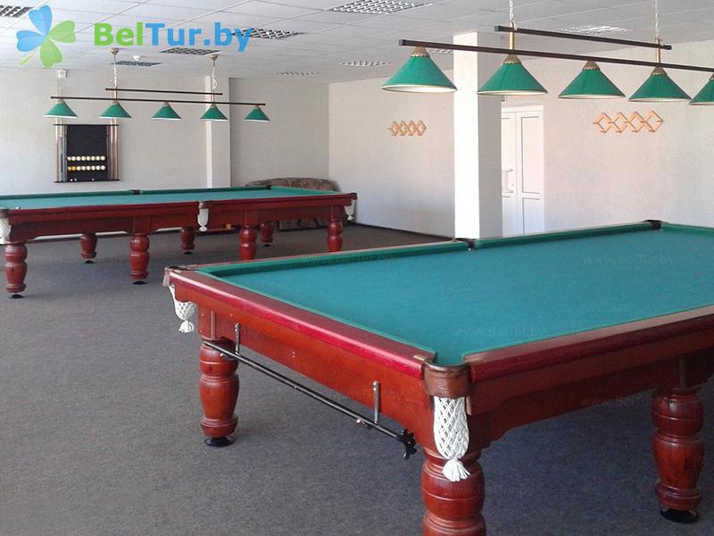 Rest in Belarus - tourist complex Braslavskie ozera - Billiards