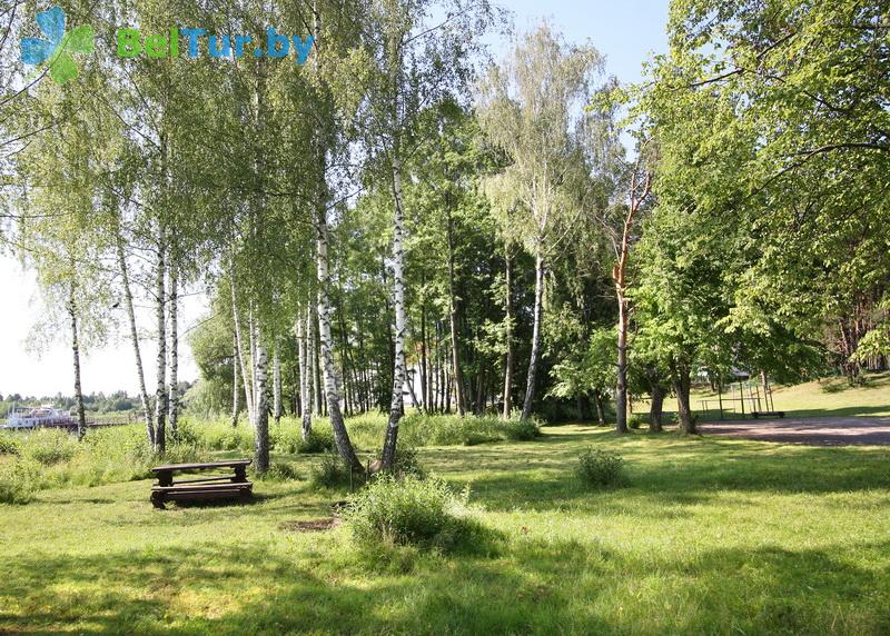 Отдых в Белоруссии Беларуси - туристический комплекс Браславские озера - Территория и природа
