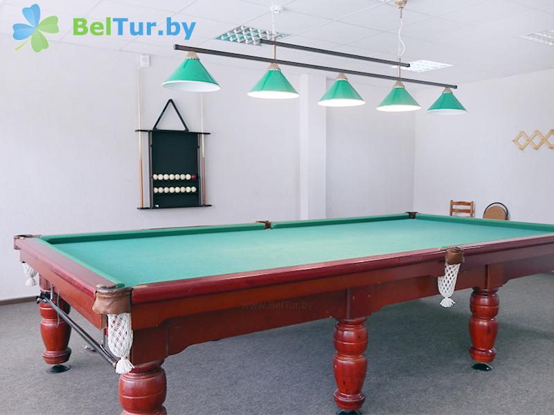 Rest in Belarus - tourist complex Braslavskie ozera - Billiards