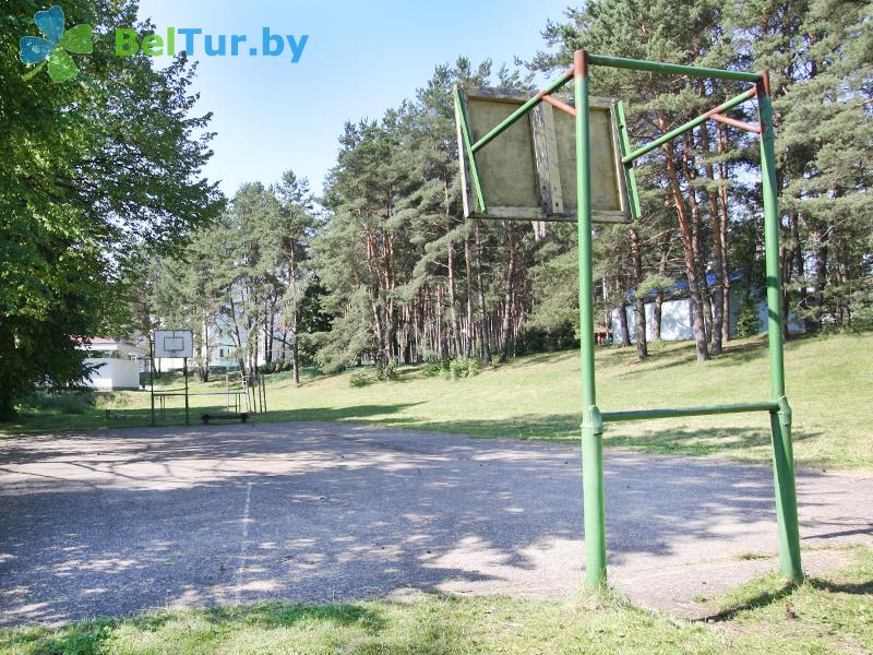 Rest in Belarus - tourist complex Braslavskie ozera - Sportsground