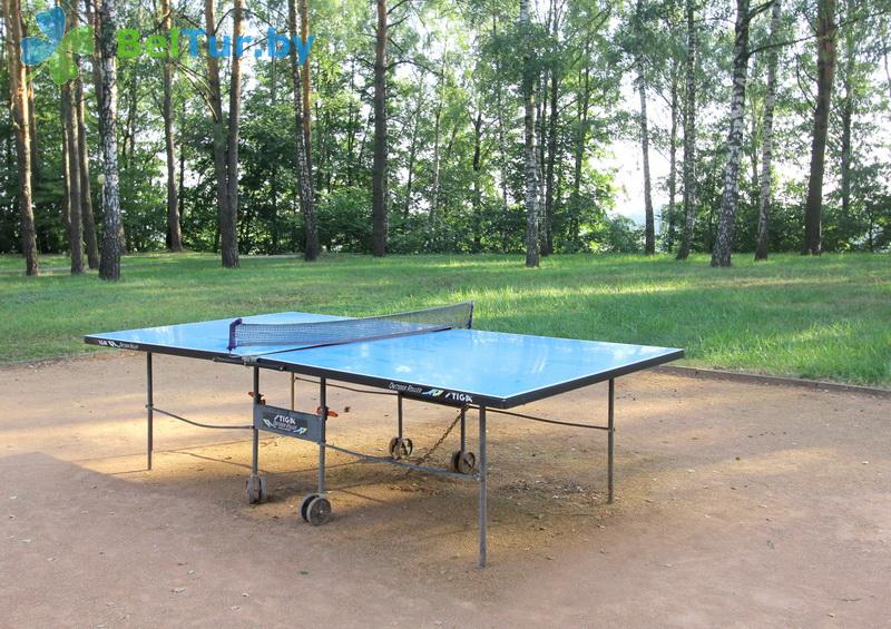 Rest in Belarus - recreation center Milograd - Table tennis (Ping-pong)
