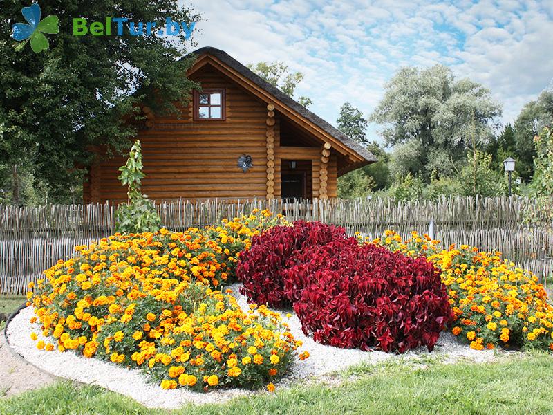 Rest in Belarus - tourist complex Rinkavka - Territory