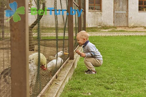 Rest in Belarus - tourist complex Rinkavka - Aviary