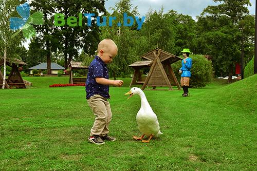 Rest in Belarus - tourist complex Rinkavka - Aviary