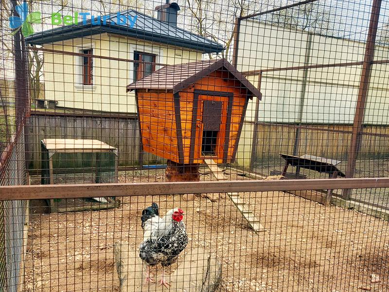 Rest in Belarus - tourist complex Rinkavka - Aviary